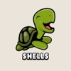 Shells Puzzle Game