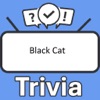 Black Cat Trivia