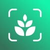 PlantAi: Plant Identifier App