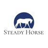 Steady Horse