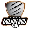 Desafio Guerreros