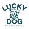 Lucky Dog Insurance Mobile