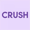 CRUSH the Memory