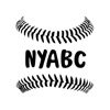 NYA Baseball Camp