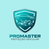 ProMaster Consultor