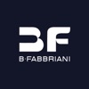 B Fabbriani INC