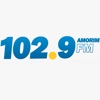 Rádio 102.9 Amorim FM