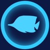 NEAQ Fish ID