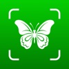 Bug Identifier: Insect Finder