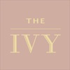 The Ivy Wellness&Beauty Salon