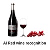 AI Red wine recognition