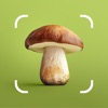 Mushroom ID - Fungi Identifier