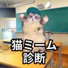 猫ミーム診断