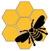 Bee Humble Studio