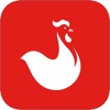 Delmon Poultry co