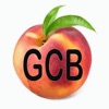 GCB Bible App