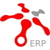 CSoft ERP: Acceso Corporativo