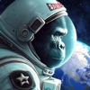 A Gorilla Odyssey