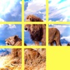 FunPuzzle21