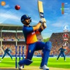 Cricket Champions League 25