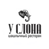 Шашлычок у слона