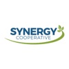 Synergy Grain