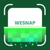 Wesnap: Rock Identifier