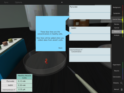 IC Cellular Respiration screenshot 4