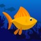 Fish Rush - Endless Fish Jump Game