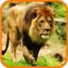 Deadly Wild Lion Last Attack 3D Pro