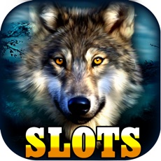 Activities of Wild Wolf Casino Slots