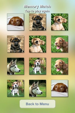 Cute Dogs Slideshow & Wallpapers (HD) screenshot 2