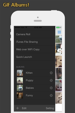 GIF Show - GIF Viewer and Album screenshot 3