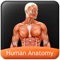 Human Anatomy Explorer app is a quick reference app that contains information about the ten different biological systems present in the human body in a visual and engaging manner