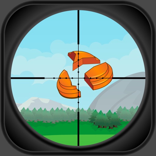 Shooting Range - Aim & Fire at the Target InterNational Championship iOS App