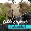 Addo Elephant National Park