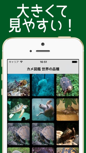 かめ図鑑 世界の品種 亀153種類 をapp Storeで