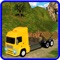 Cargo Truck Driver 2017