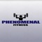 Phenomenal Fitness personal training is based on the Phenomenal Pillars of Physical Development, the essential components of physical fitness and wellness, which work together to help you look good and feel great; stability, strength, mobility, and resilience