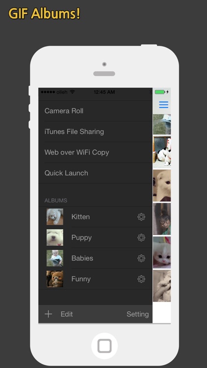 GIF Show - GIF Viewer and Album