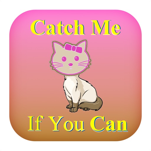 Catch Me if You Can?? Icon