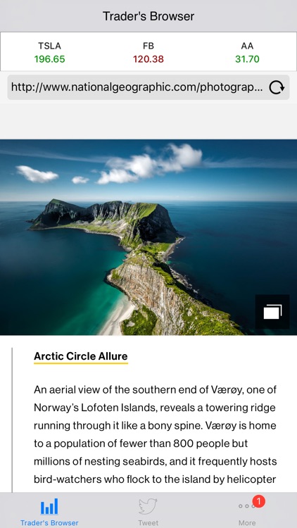 Traders Web Browser and Tweets Reader
