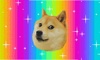 Doge 2048