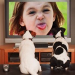 iLaugh Camera  Best Funny Frames