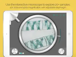 Game screenshot Biolab - your personal biology lab apk