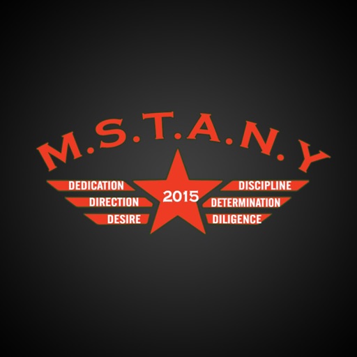 MSTANY Military Style Training