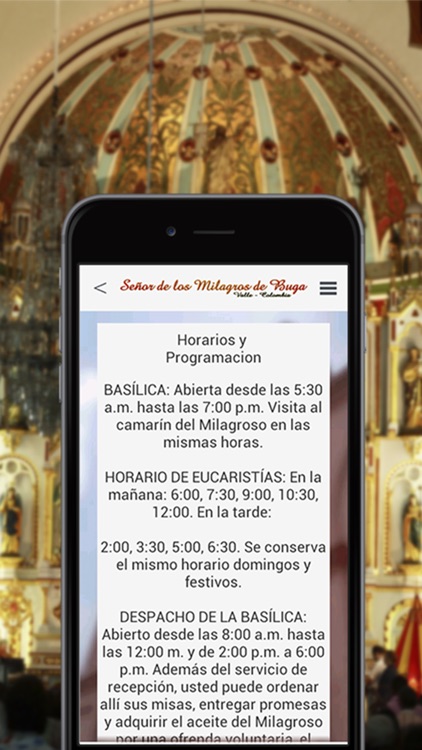 Milagroso de Buga Colombia screenshot-3