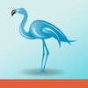 Blue Flamingo Wealth Management