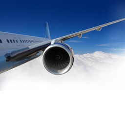 Overkom din flyskræk