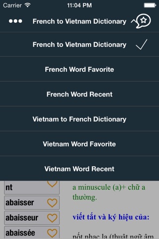 French Vietnam Dictionary screenshot 3